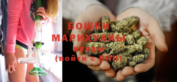 прущий лед Бородино