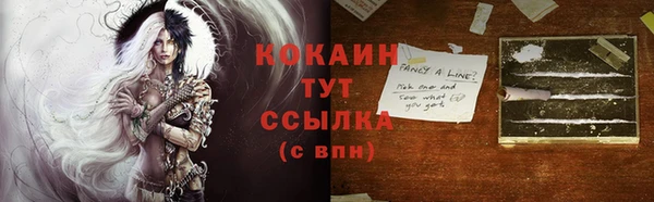 прущий лед Бородино