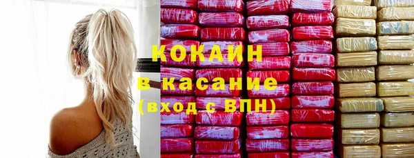 прущий лед Бородино