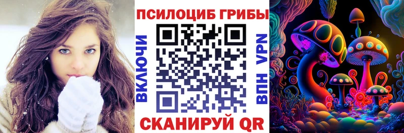 ссылка на мегу   Верхнеуральск  Псилоцибиновые грибы мицелий 